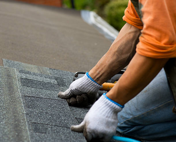 Best Storm Damage Roof Repair  in Dauphin, PA